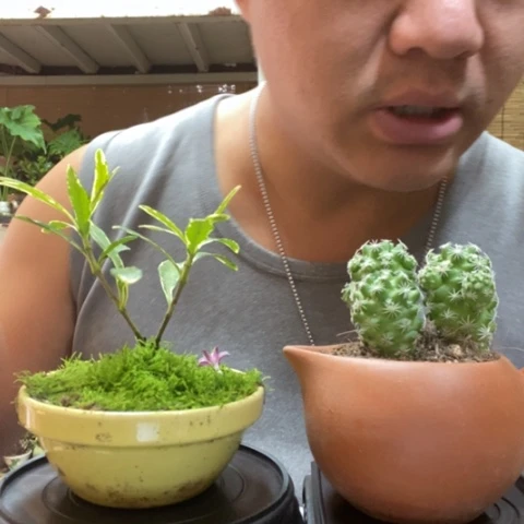 红陶B**n一物一拍所见即所得6