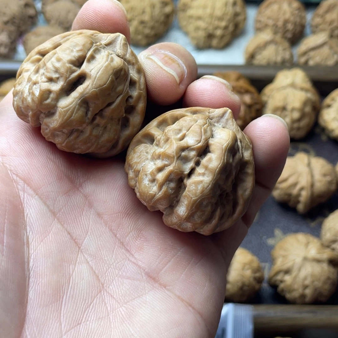 章***鱼手串/手链核桃蛤蟆37+