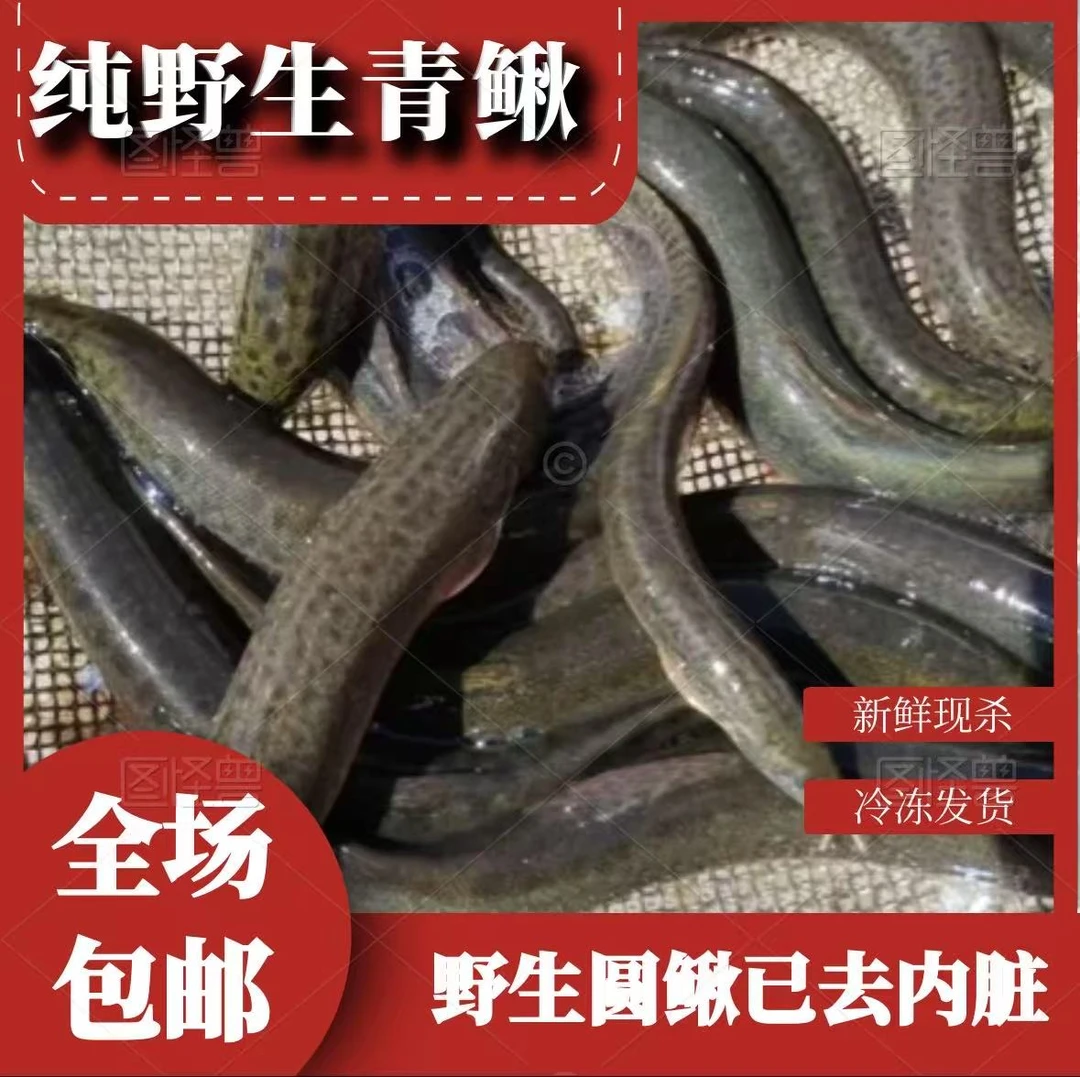 乡村纯野生青鳅圆鳅(已去内脏)