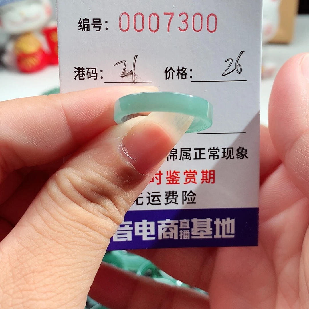 翡翠未镶嵌戒指7300