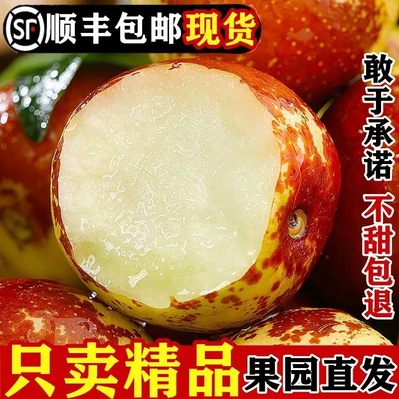 陕西大荔冬枣新鲜冰糖脆甜特大5斤包邮孕妇水果现货当季枣子顺丰