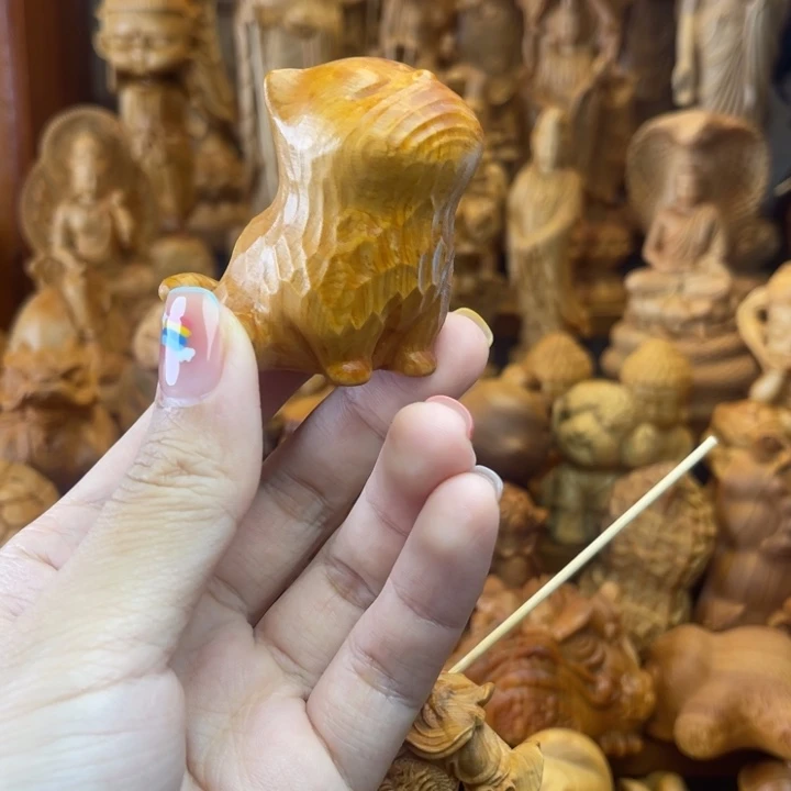 韩*生直播间劈叉猫猫
