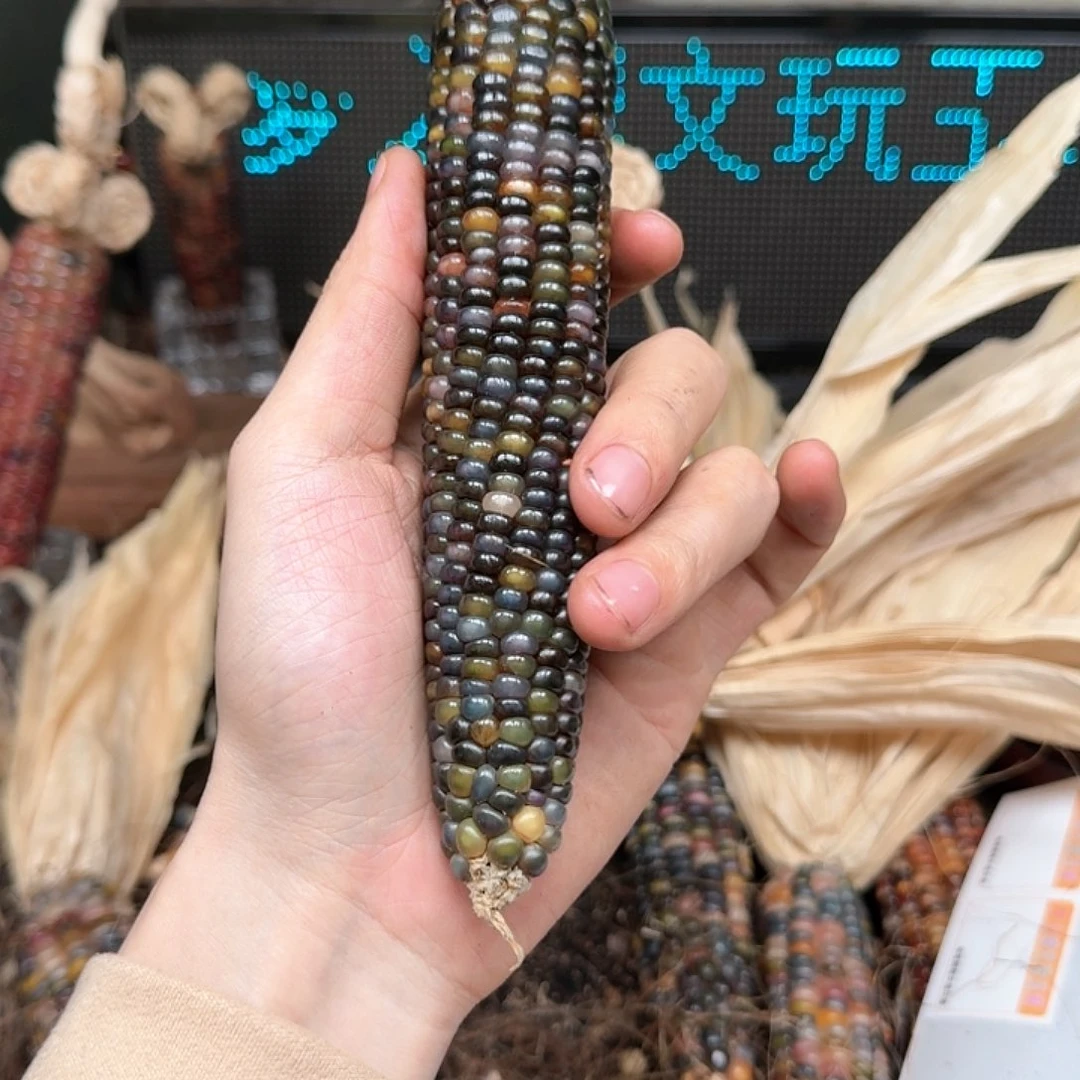 柏香籽/百香籽吊坠念*