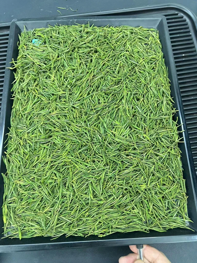 【临时】2025新茶  安吉溪龙白茶安吉特产茶叶新茶茶叶鲜爽回甘A199