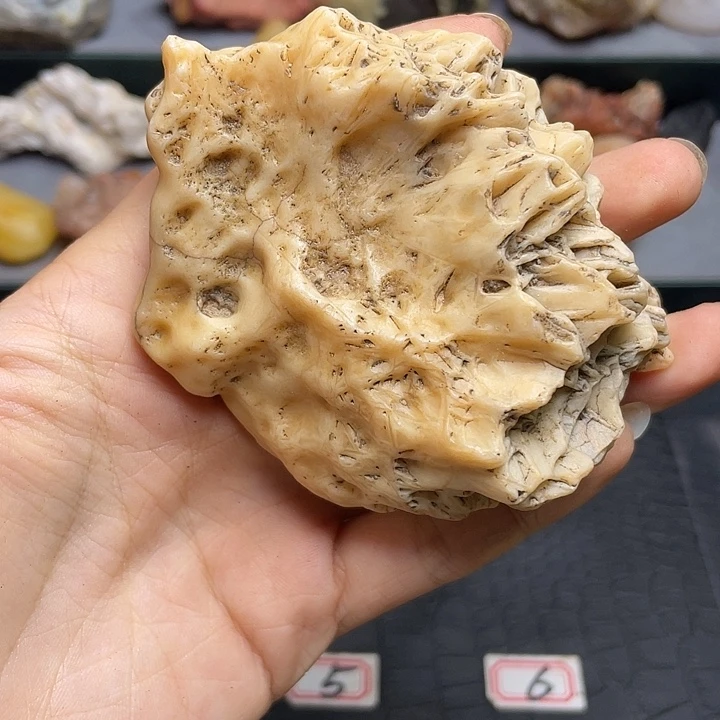 浪***主有机玻璃阿拉善戈壁石