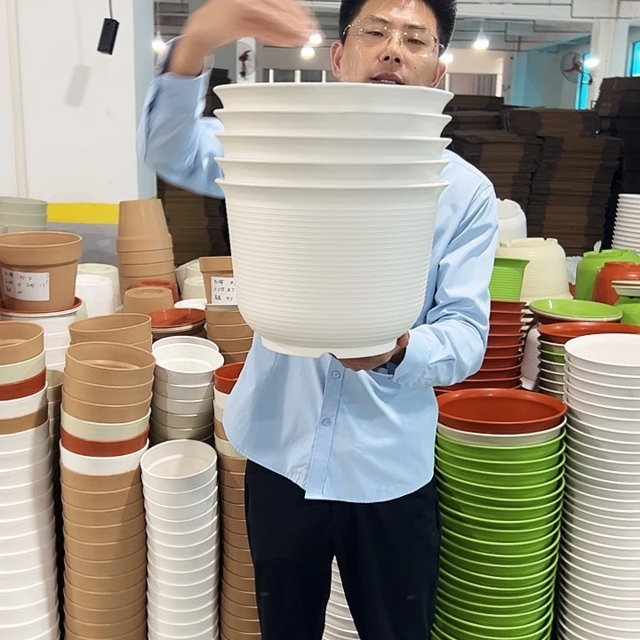 正品矮陶口30高21白色5只无托