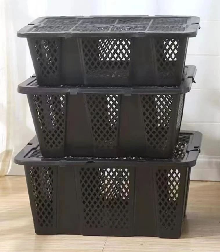 彩色獭兔专用运输笼