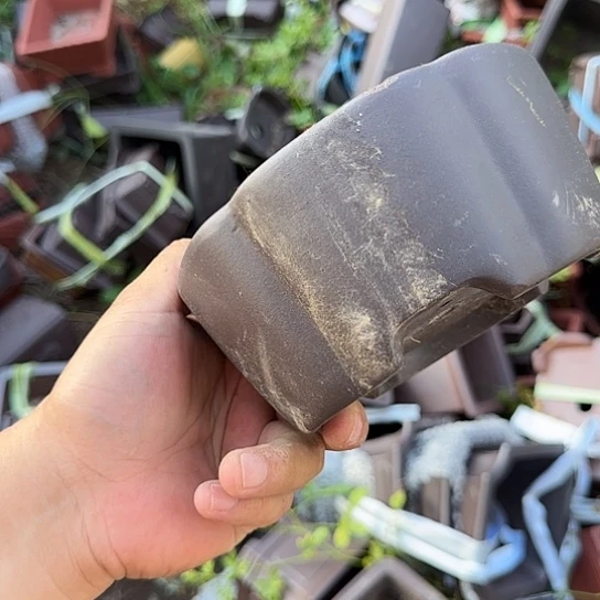 是因为它具有非常丰富且独特功能