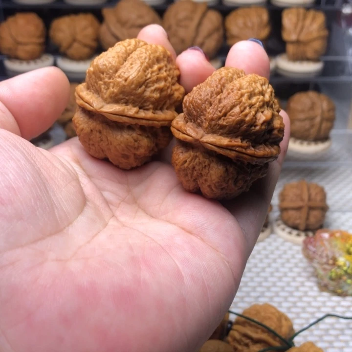 把件文玩核桃52古树蚂蚁开背40+