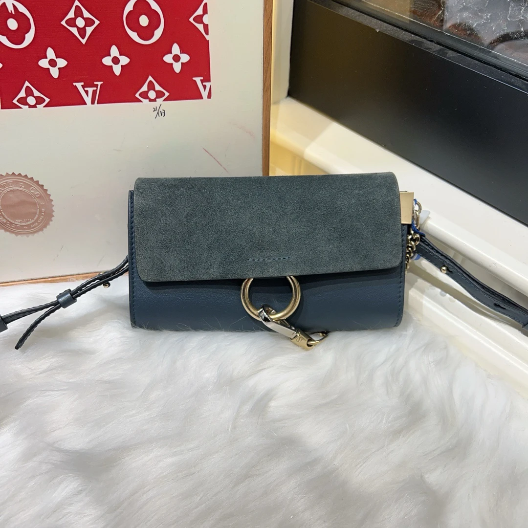 95新 Chloe/蔻依 蔻依小号圆环单肩包gk380