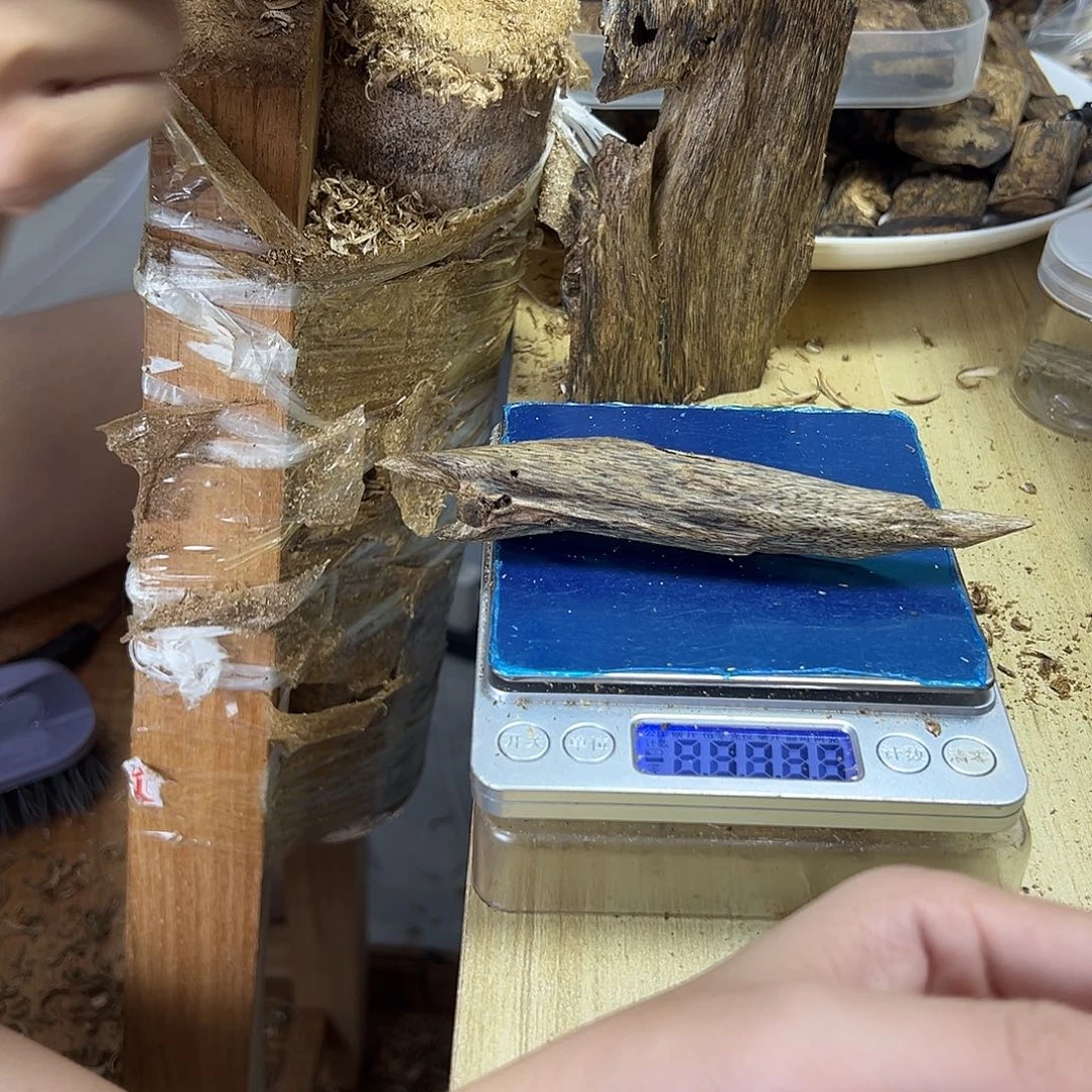 香料绿奇楠虫漏11克白棋