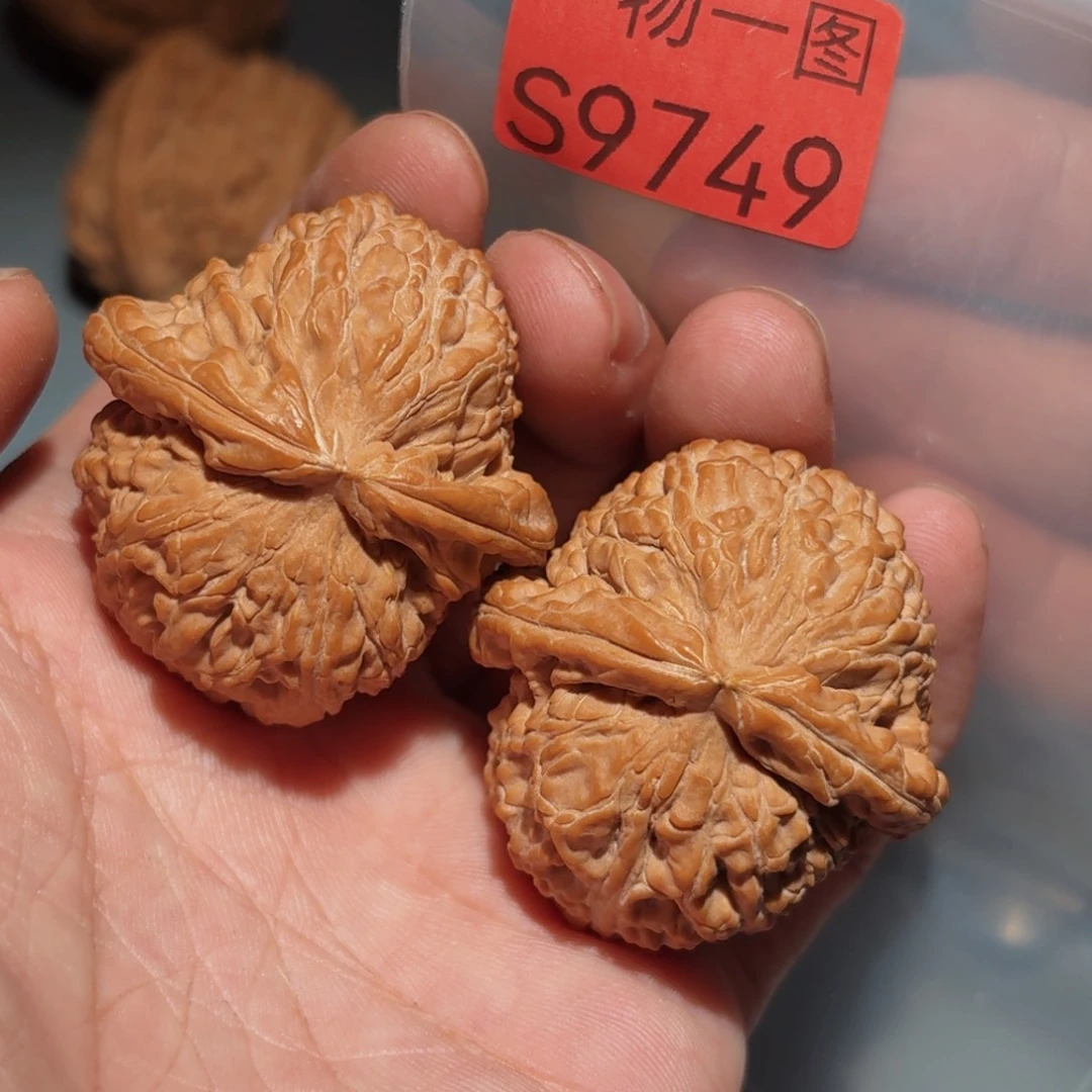 把件文玩核桃白狮子