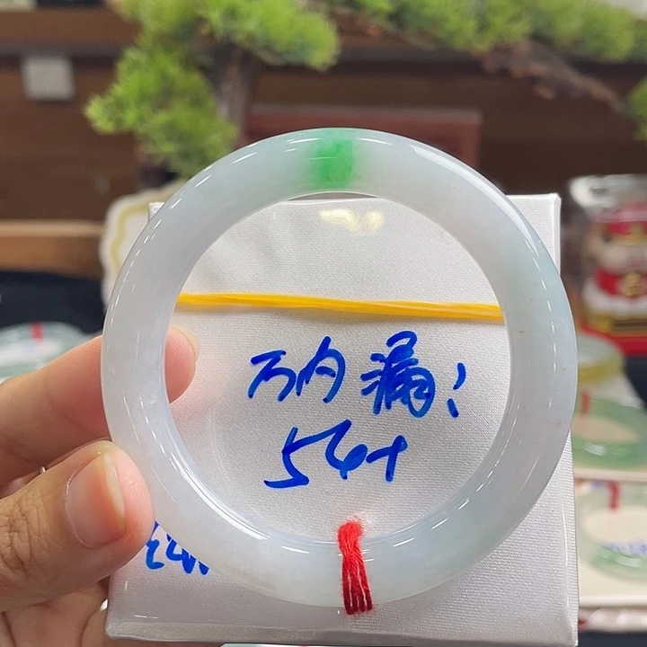 未镶嵌手镯翡翠2号 54-5圆条 白底青