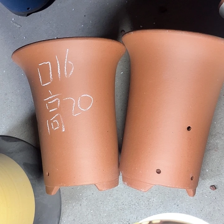 红陶紫砂紫砂紫砂