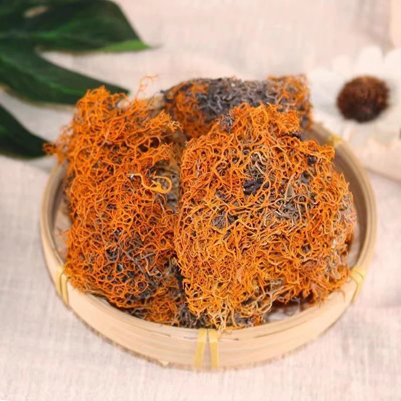 养神之南北干货泡水煮酒