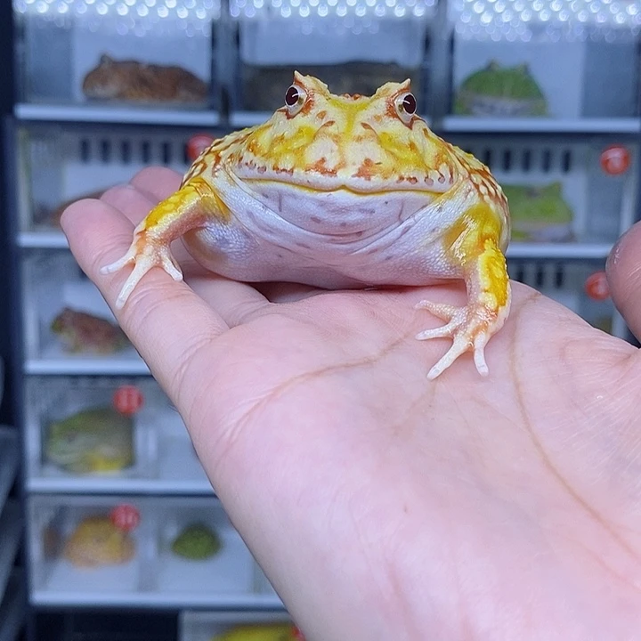特价秒杀现货特价