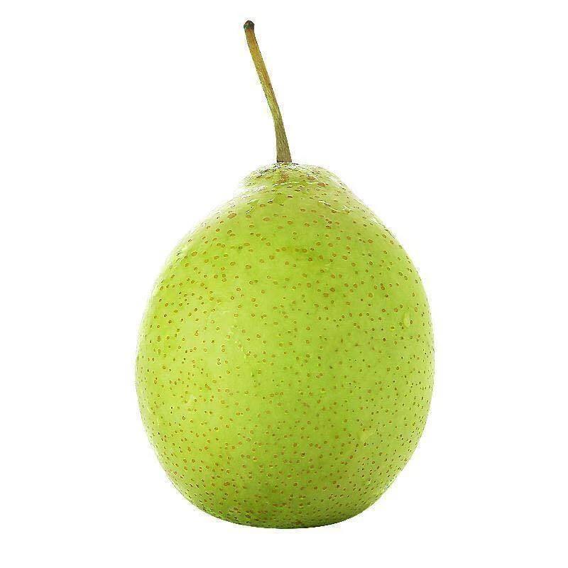 河北魏县鸭梨新鲜水果水果梨子鸭梨河北魏县青皮鸭梨新鲜梨子整箱