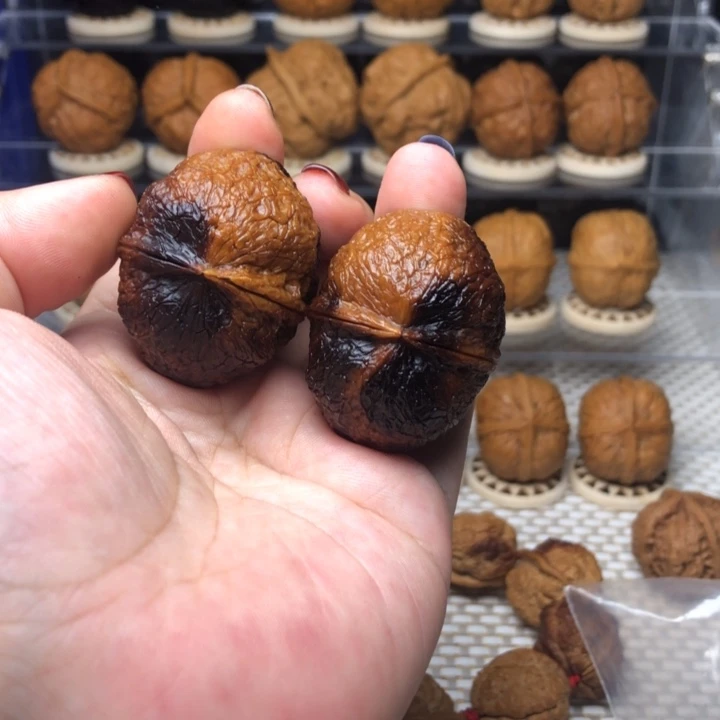 文玩核桃把件46熊猫彩41尺