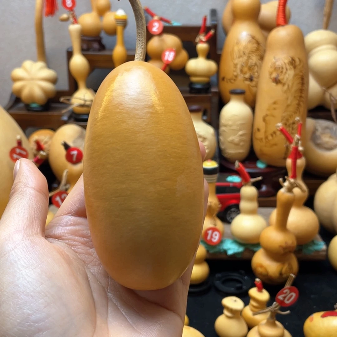 米*子大自然的秘密第十一节你要
