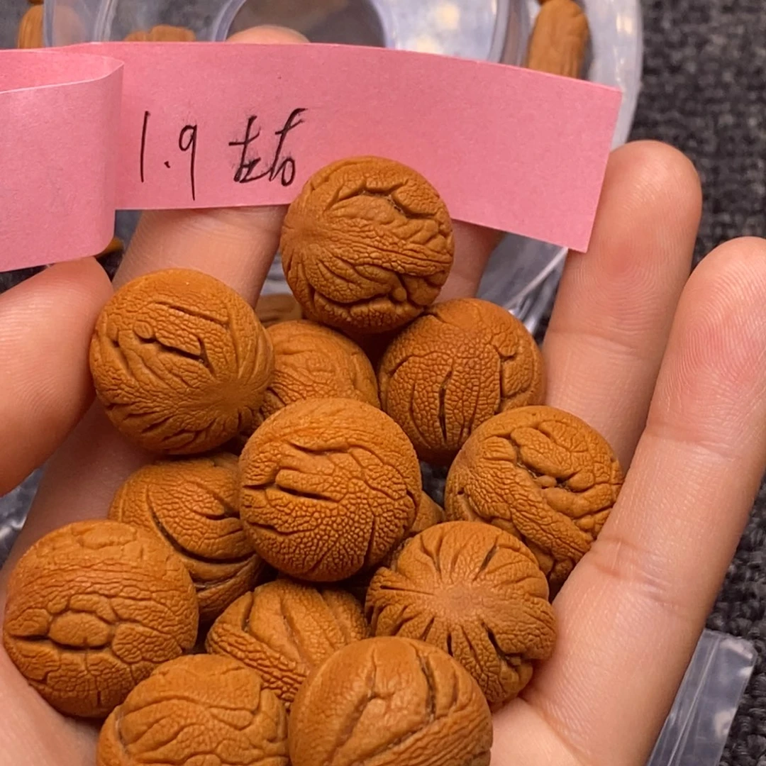 秦岭山脉龙纹桃核