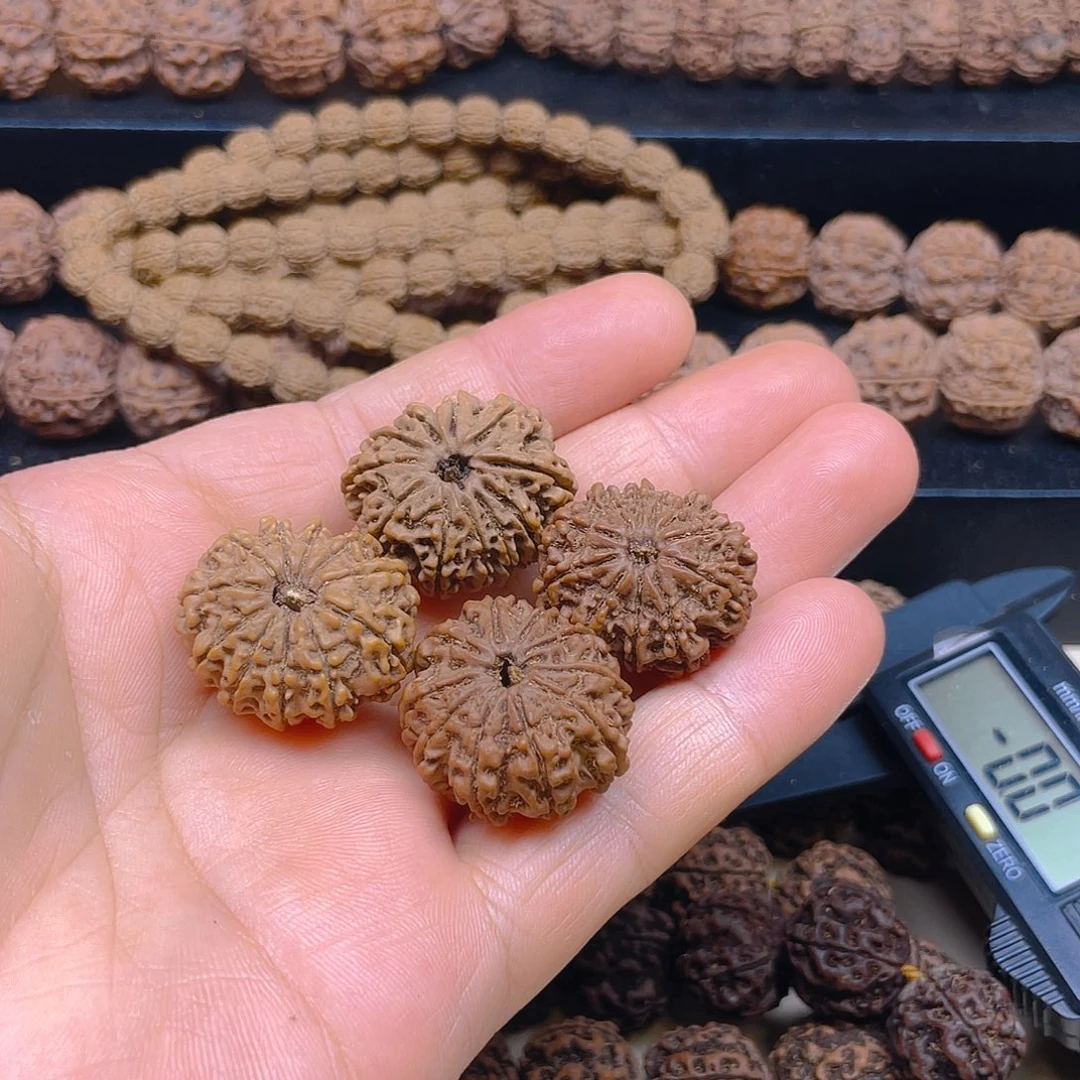 光***张手串金刚菩提十瓣十一瓣单颗4颗
