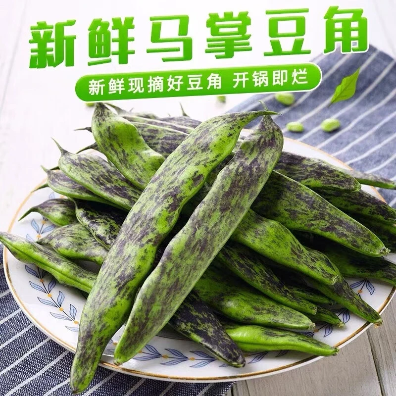 【凯涛甄选】天津本地马掌豆角3斤现摘现发京东顺丰包邮