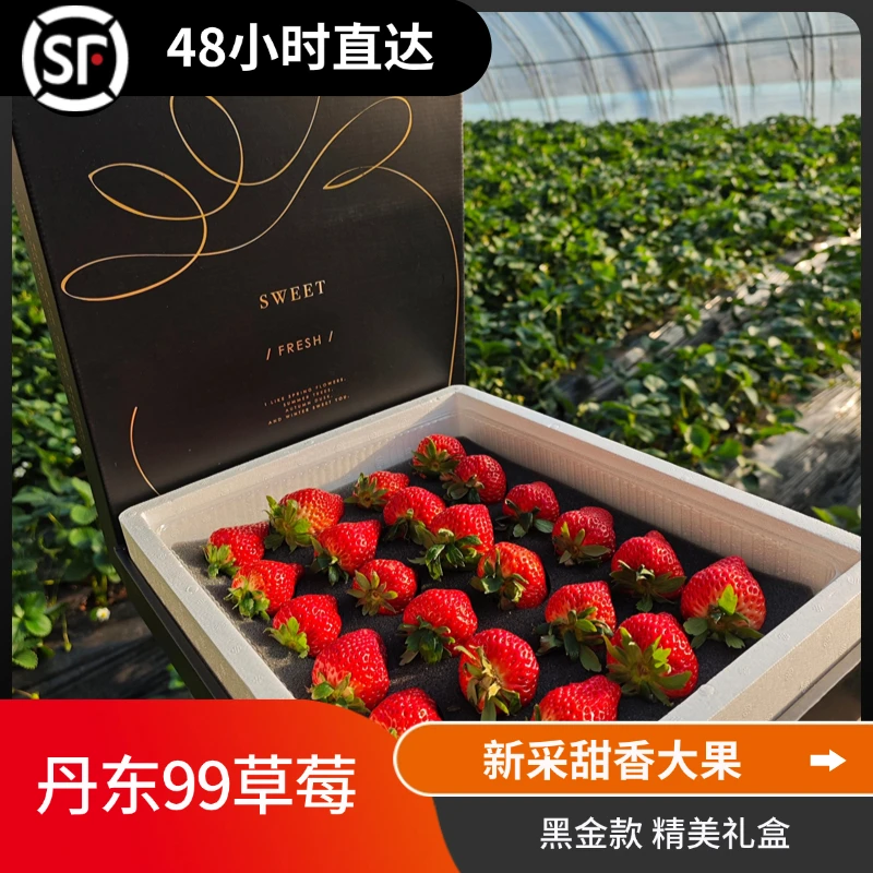 【草莓果王礼盒】丹东99红颜牛奶特大果草莓顺丰空运礼盒发货送礼