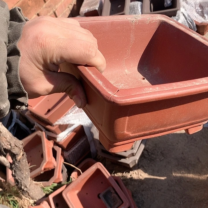 紫砂哈哈真的是太给力太火爆了