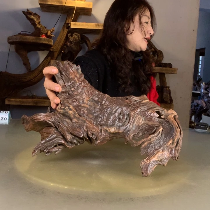 南***城天然的云南紫柚木会黄水