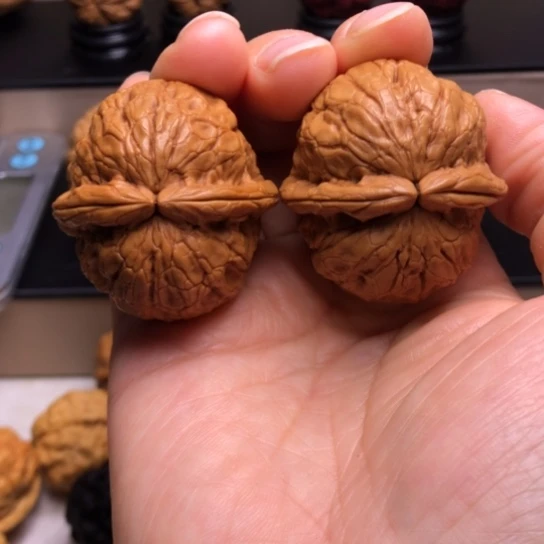 文玩核桃把件英**应金龟玉甲38