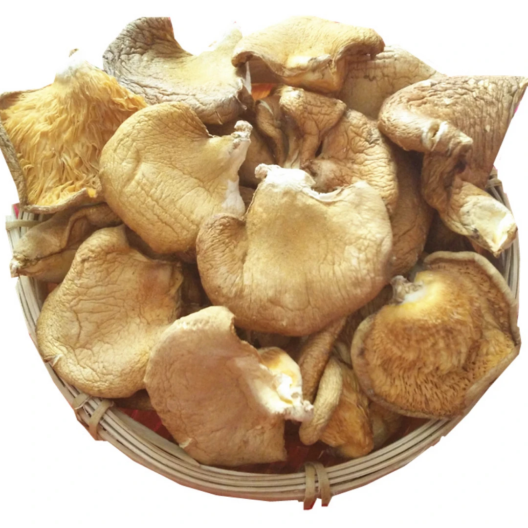 野生元蘑（冻蘑）菜干货蘑菇