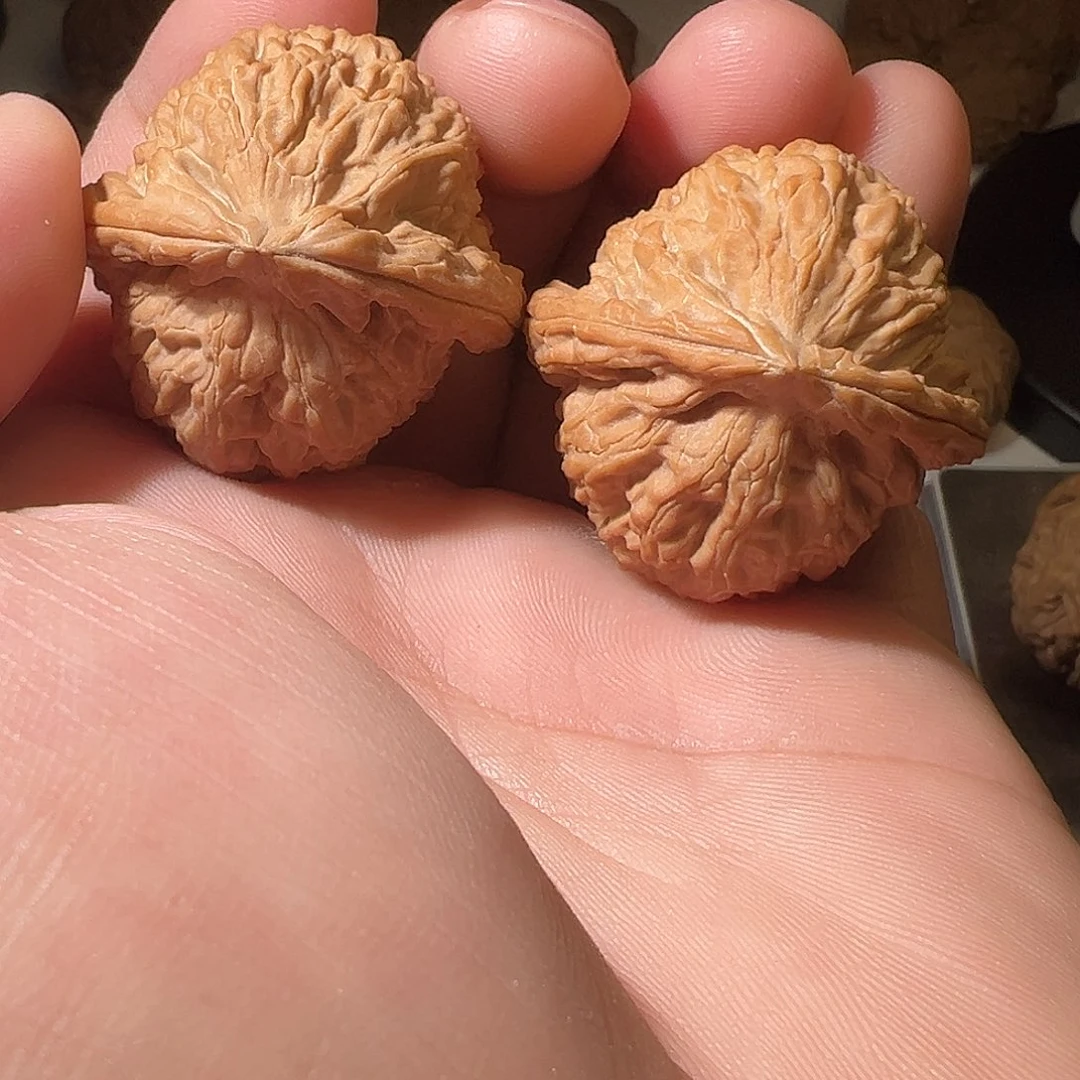 G***.文玩核桃把件文玩