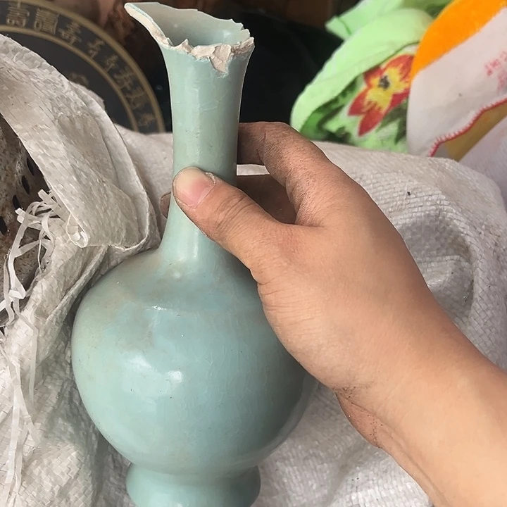 核桃木/黑胡桃（胡桃木）叶****6