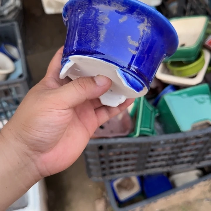 在这里我们都有很多话需要对