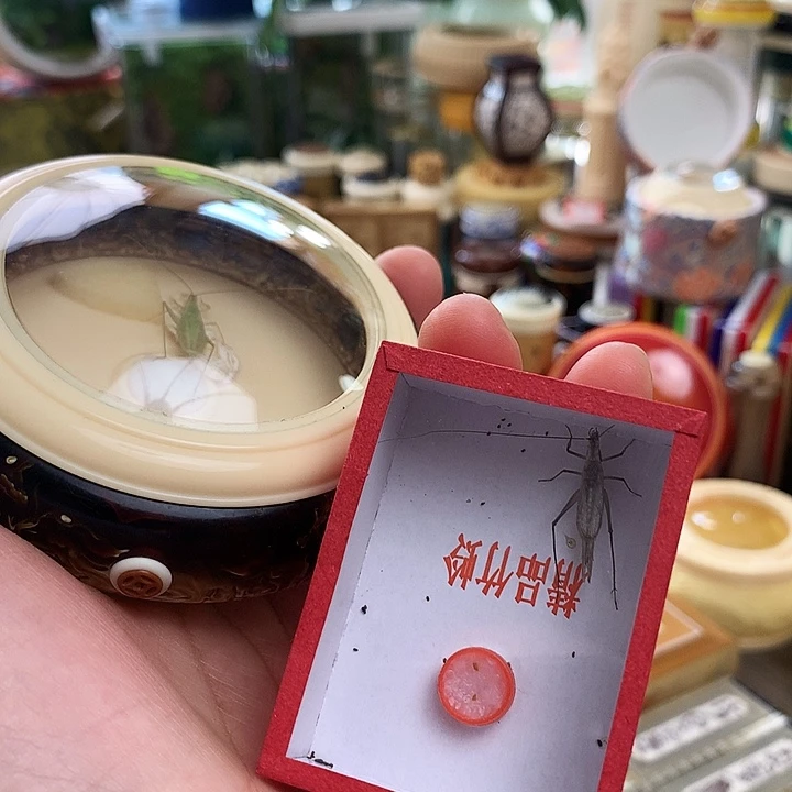 带竹蛉啊啊啊啊啊啊啊啊啊