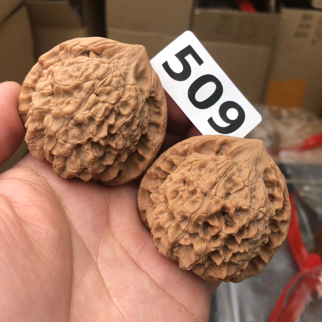 49尺大官帽文玩核桃一对一拍无修