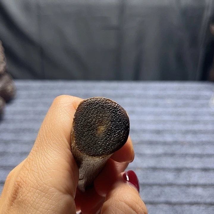 木非州花梨大果紫檀x00