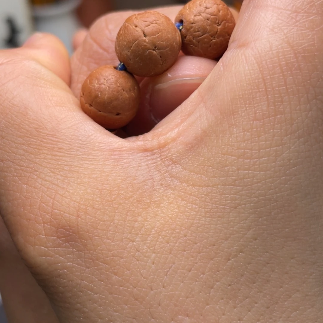 凤眼菩提吊坠菩提715