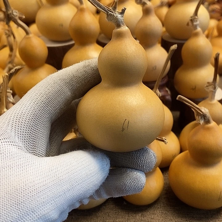 文玩葫芦 完美主义者 慎拍61