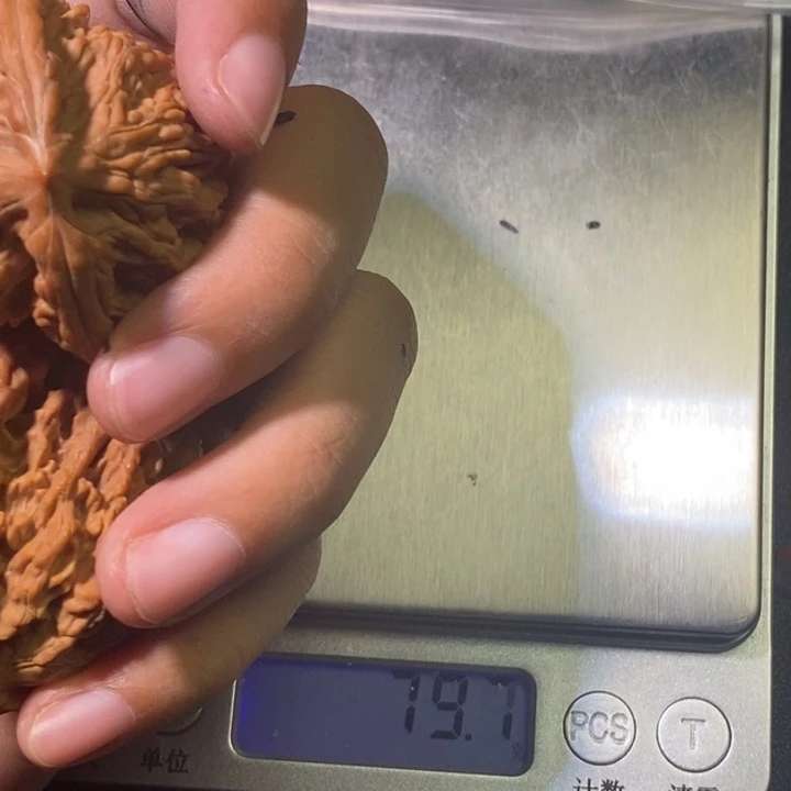 D***C虎头全品喜欢拍111