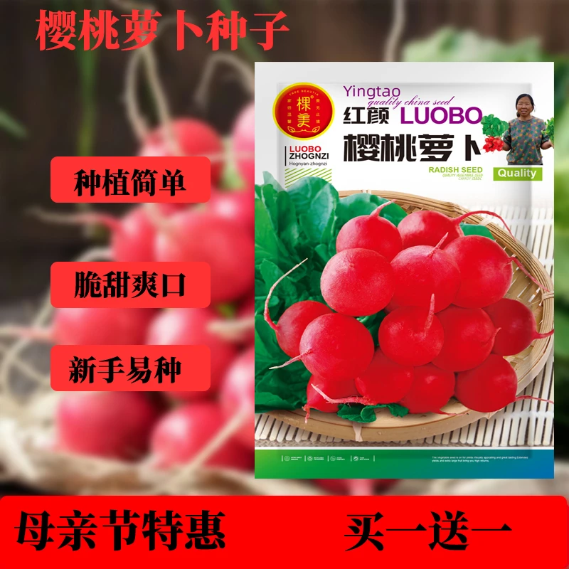 【母亲节特惠】杨姐推荐红颜樱桃萝卜