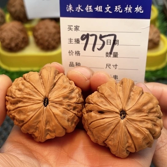 文玩核桃把件41小众甲骨纹9757