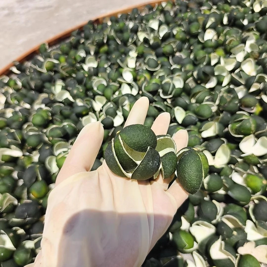 三花青2025年正宗浦北陈皮茶枝柑品种原枝