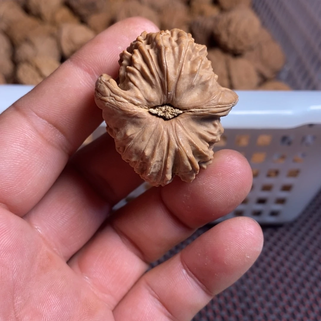随***—文玩核桃把件文玩