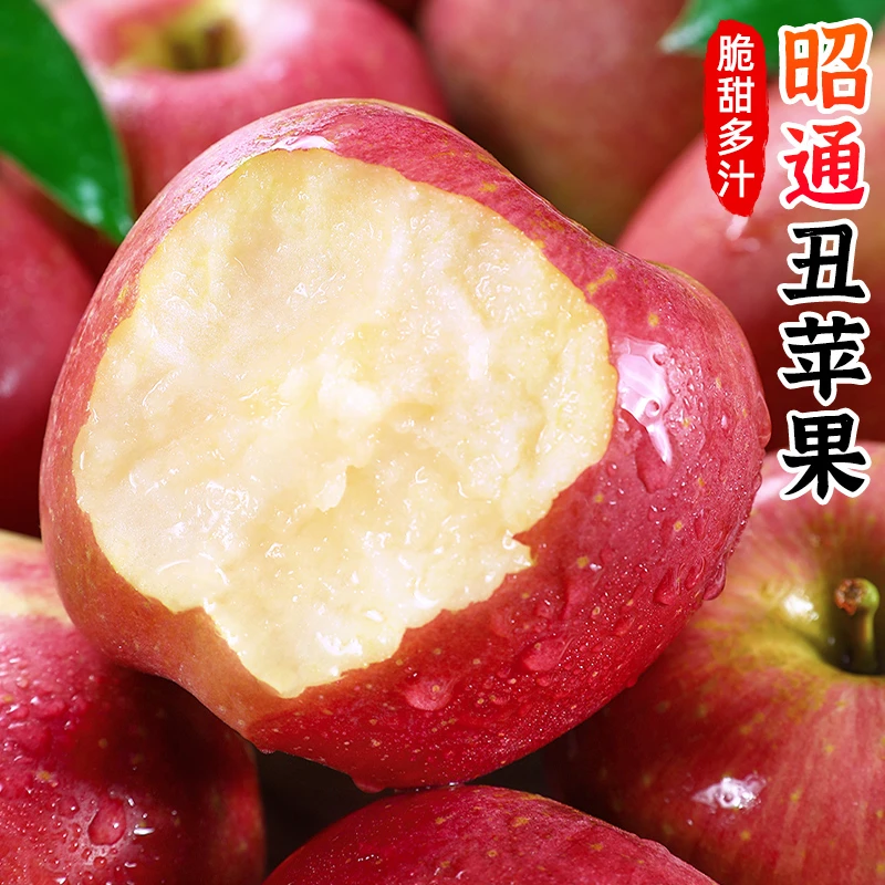 【脆甜多汁】云南昭通丑苹果5-8斤红苹果甜脆糖心苹果当季新鲜水果