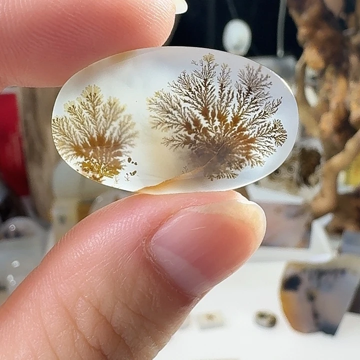 玛瑙/玉髓未镶嵌珠宝奇石