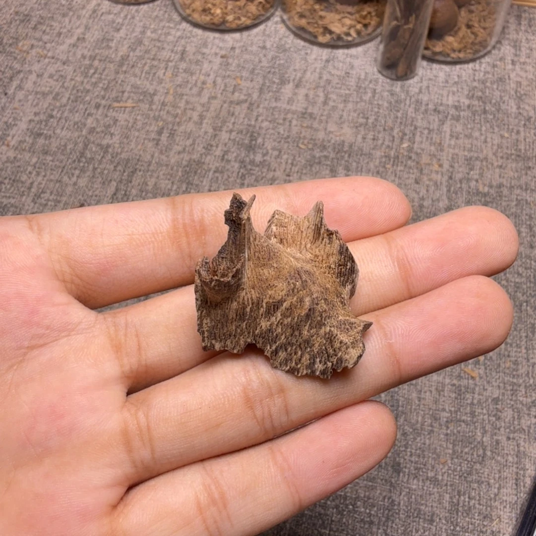 香榧木野料沉水2克