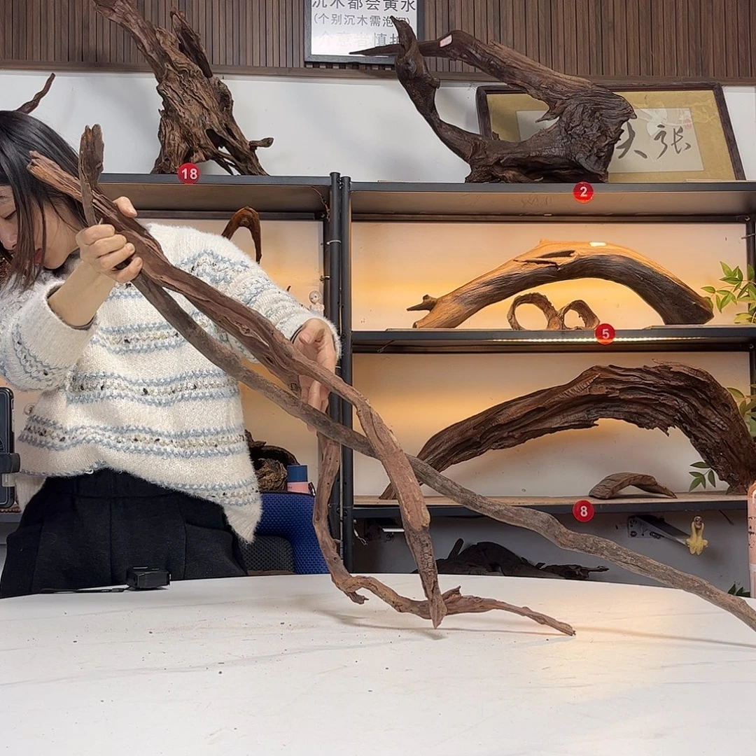 茶宠尺寸80左右。