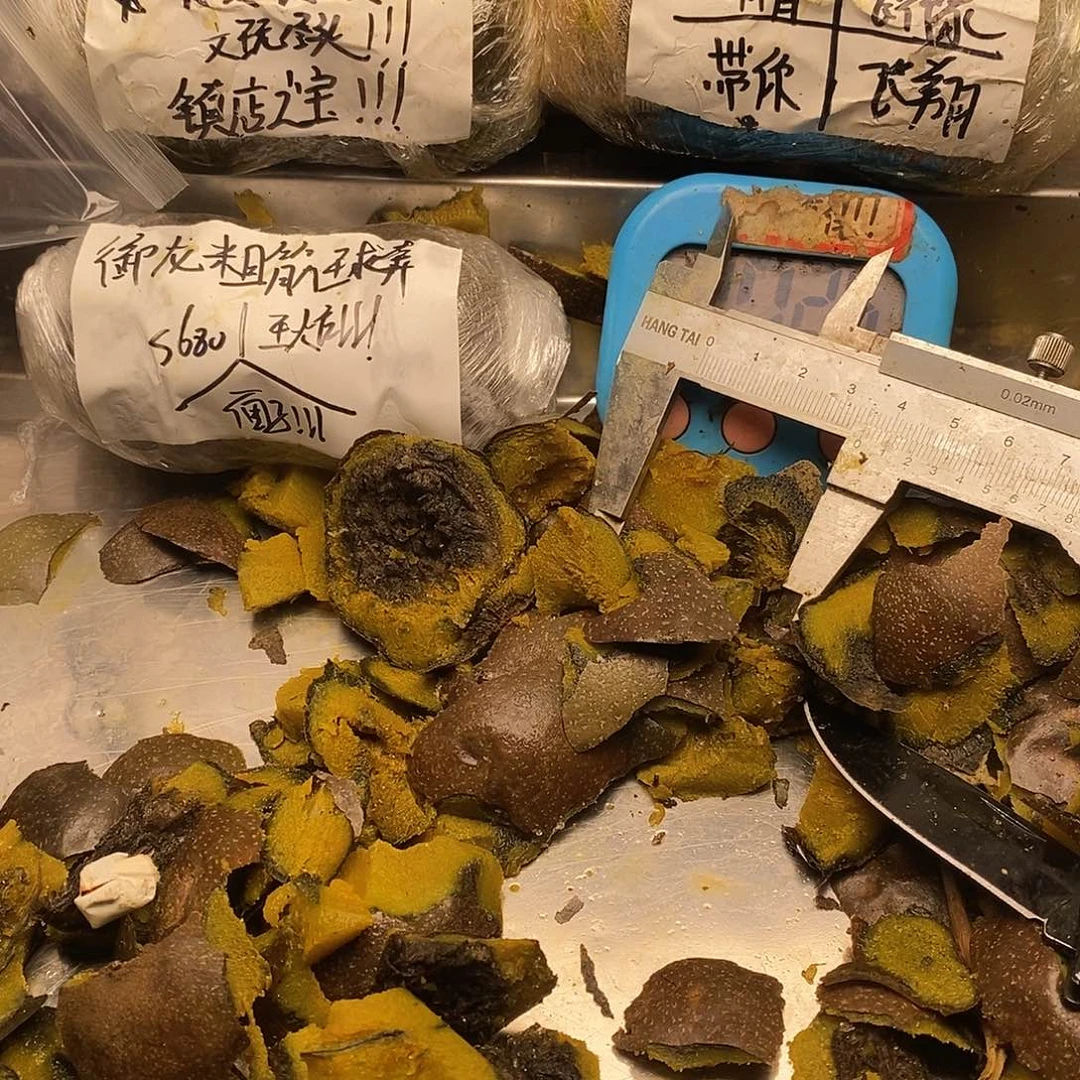 3***U出镜奶奶男男女女你家