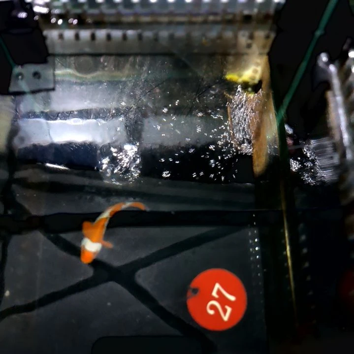 公子小丑6+/5-52-27